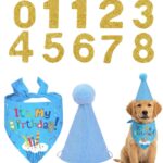 Dog Cap and Bandana Set, Pet Birthday Party Decorations, Blue Dog Birthday Accessories with Hat and Number Stickers, Festive Celebration Supplies for Dogs