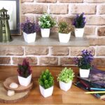 amazon basics Artificial Plants with Pot|Realistic Looking| Multi Variety |Durable Plastic | No Maintenance | Home Decor | Dimensions: 5 cm X 13 cm (Pack of 8) - Image 3