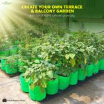 Anandi Green's Premium HDPE Uv Protected 260 GSM Round Shaped Green Colour Plants Grow Bags Suitable for Terrace and Vegetable Gardening 12x12 Inch Pack of 5 Grow Bags - Image 7
