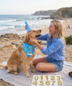 Dog Cap and Bandana Set, Pet Birthday Party Decorations, Blue Dog Birthday Accessories with Hat and Number Stickers, Festive Celebration Supplies for Dogs - Image 6