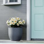 YUCCABE ITALIA FOXB PCUP 17 Inch Pots for Plants Durable Polymers Lightweight Indoor Outdoor Flower Gamla Tree Planter Container Planters for Living Room, Balcony, Garden, Office (Grey, 17 Inch) - Image 6