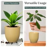 YUCCABE ITALIA FOXB PCUP 10 INCH Pots for Plants Durable Polymers Lightweight Indoor Outdoor Flower Pot Gamla Tree Planter Container Planters for Living Room, Balcony, Garden, Office (Beige, 10 Inch) - Image 3