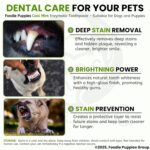 Foodie Puppies Dental Care Cool Mint Toothpaste for Dogs - 100g with Soothing Mix of Clove and Cinnamon Oil | Tartar Control Enzymatic Toothpaste Suitable for all Dogs and Puppies - Image 7