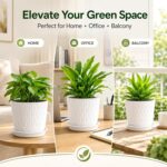 SWAPKART (Pack of 5 6 Inch Plastic Flower Pots for Indoor & Outdoor Terrace,Garden Plants Decorative Planters with Drainage Holes & Matching Saucers Durable & Lightweight (White) - Image 7