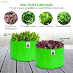 Anandi Green's HDPE UV-Protected 260 GSM Round Green Colour Plant Bags Suitable for Terrace and Vegetable Gardening 9X6 Inch Pack of 10 - Image 3