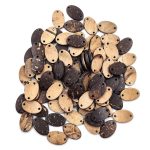 Coconut Shell Buttons 2 Hole Sewing Buttons for Fashion/Replacement/Decorative/Costume's/Jackets/Kurtis and Also Used DIY Art and Craft item (715-Coconut Shell Oval Shape 24pcs) - Image 2