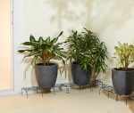 Amazon Brand - Solimo Anti-Rust Metal Plant Stand | Set of 4 | Rectangular | 120Kg Load Capacity | Galvanized Metal Planter/ Pot Stand with 7 Layer Coating | for Living Room/Outdoor/ Balcony | Black - Image 5