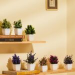 amazon basics Artificial Plants with Pot|Realistic Looking| Multi Variety |Durable Plastic | No Maintenance | Home Decor | Dimensions: 5 cm X 13 cm (Pack of 8) - Image 4
