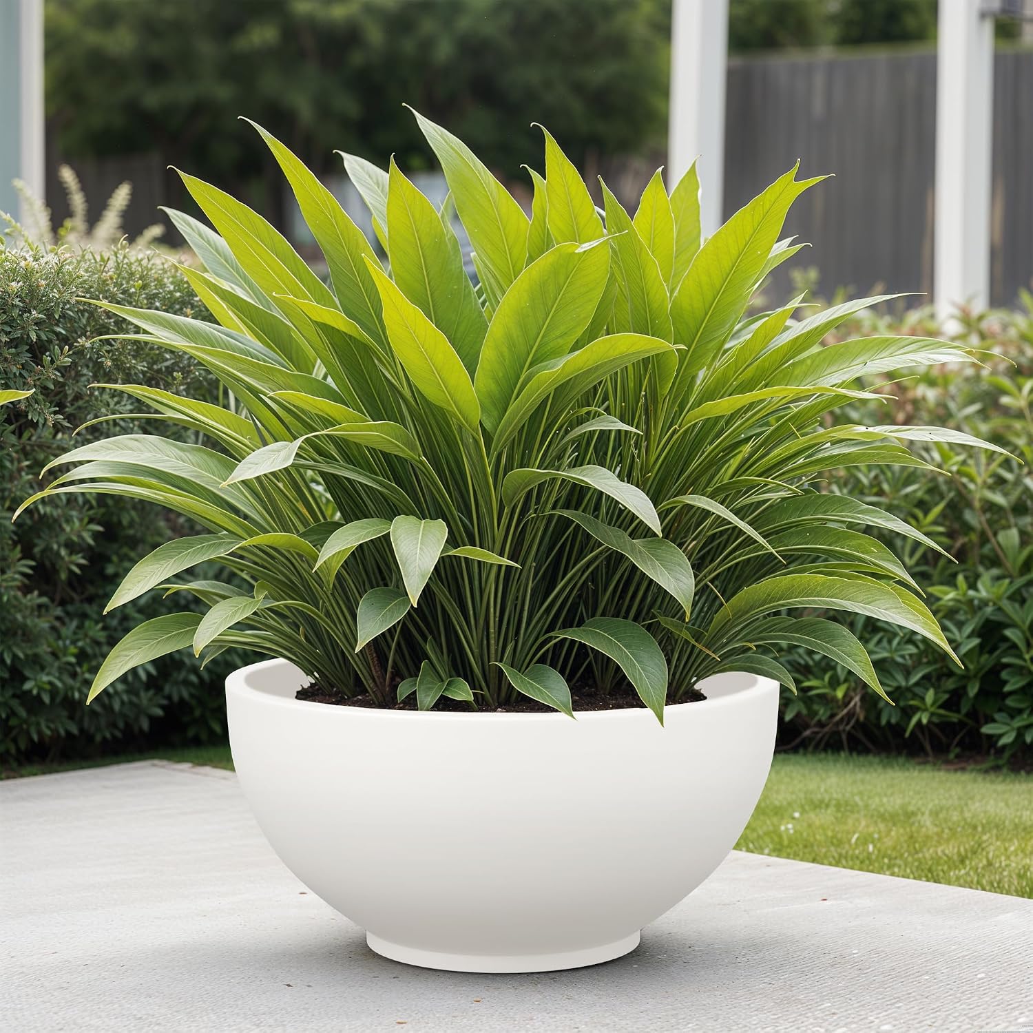 81LEZtyFuoL._SL1500_.jpg YUCCABE ITALIA FOXB KTR 18 INCH Pots for Plants Highly Durable Polymers Lightweight Indoor Outdoor Flower Pot Gamla Tree Planter Container Planters for Living Room, Balcony, Garden, Office - Image 1