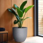 YUCCABE ITALIA FOXB PCUP 17 Inch Pots for Plants Durable Polymers Lightweight Indoor Outdoor Flower Gamla Tree Planter Container Planters for Living Room, Balcony, Garden, Office (Grey, 17 Inch)
