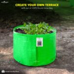 Anandi Green's HDPE UV-Protected 260 GSM Round Green Colour Plant Bags Suitable for Terrace and Vegetable Gardening 9X6 Inch Pack of 10 - Image 7