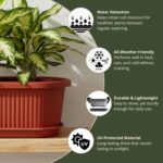 Kraft Seeds Regalia 16 inch Medium(Pack of 1) Flower Pots for Garden with Bottom Plate Big Size Durable UV Resistant Plastic Gamla for Plants Indoor Outdoor Weatherproof - Image 6