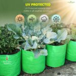 Anandi Green's Premium HDPE Uv Protected 260 GSM Round Shaped Green Colour Plants Grow Bags Suitable for Terrace and Vegetable Gardening 12x12 Inch Pack of 5 Grow Bags - Image 6