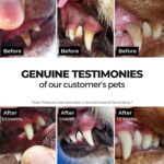 Moe Puppy Vet Recommended Dental Spray for Dogs & Cats | Bad Breath Control, Plaque & Tartar Removal & Gum Health | Peppermint Freshness | Long-Lasting Oral Care, Safe Daily Use (100 ml) - Image 4