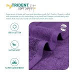 Trident Soft Comfort Air Rich Towel 100% Cotton Hand Towel for Daily use, 500 GSM Highly Absorbent Towels for Men/Women, 4Pc Hand Towel Set (41 cm X 66 cm), Plum - Image 6
