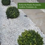 TrustBasket White Pebble Decorative Stones Marble Rock [2 Kg] [2.5cm - 4cm] for Aquarium Garden Indoor & Outdoor Decoration Pebble Stone White - Image 3