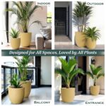 YUCCABE ITALIA FOXB PCUP 10 INCH Pots for Plants Durable Polymers Lightweight Indoor Outdoor Flower Pot Gamla Tree Planter Container Planters for Living Room, Balcony, Garden, Office (Beige, 10 Inch) - Image 7