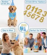Dog Cap and Bandana Set, Pet Birthday Party Decorations, Blue Dog Birthday Accessories with Hat and Number Stickers, Festive Celebration Supplies for Dogs - Image 7