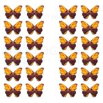 Wooden Butterfly Shape Buttons 2 Hole Sewing Buttons for Fashion/Replacement/Decorative/Jackets/Kurtis and Also Used DIY Art and Craft item (713 - Wooden YELLOW BUTTERFLY Buttons 24 pcs)