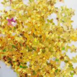 Bharat Combo Pack of Flower Shaped Sitara Sequins of 9 Colors (Size 10mm) for Jewellery Making, Sewing and Emblishment, DIY Project, Art and Craft. 9 Colors,Each Color 5gm, 45 gram Total - Image 7