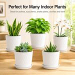 SWAPKART (Pack of 5 6 Inch Plastic Flower Pots for Indoor & Outdoor Terrace,Garden Plants Decorative Planters with Drainage Holes & Matching Saucers Durable & Lightweight (White) - Image 6