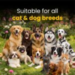 FUR BALL STORY Eczo Pet Anti Fungal & Anti Bacterial Cream|Itchy Skin Treatment for Dogs & Cats | Helps with Eczema, Ringworm, Dermatitis & Skin Infections | Ayurvedic Vet-Approved Formula 60gm - Image 11