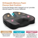 FOVERA Orthopedic Coccyx Seat Cushion for Tailbone Pain | 2-Years Warranty | Memory Foam Chair Pad for Sciatica & Back Pain Relief (18 x 17 Inch), Fits Up to 120Kg Wt, for Chair & Car (Mesh Black) - Image 10